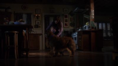 Shelby, hey. - Smallville