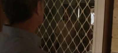 - She'll be home really soon.
- Abby, come on. - Frayed
