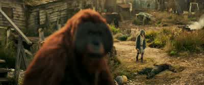 She'll die out here alone. - War for the Planet of the Apes