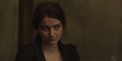 SHEPARD: A politician
and a prostitute. (CHUCKLES) - The Luminaries