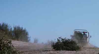 Shepherd to Abandoned Sheep!
We need you at Indian Road. - The Dukes of Hazzard