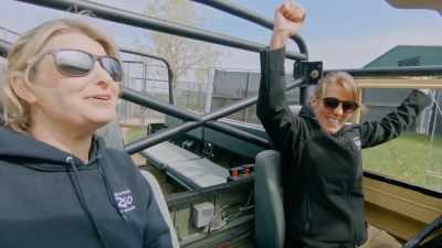 Sheri: Oh, he's finished.
(car stalls) - Secrets of the Zoo