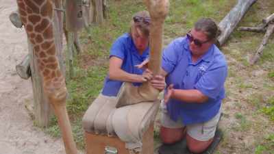Sheri: Yeah.
Madison: Left. - Secrets of the Zoo