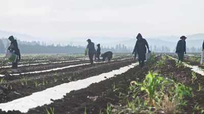 [Sherri]
And being applied to crops - Plastic Earth