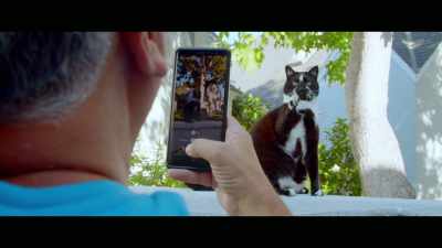 She's a comical cat, - Cat Daddies