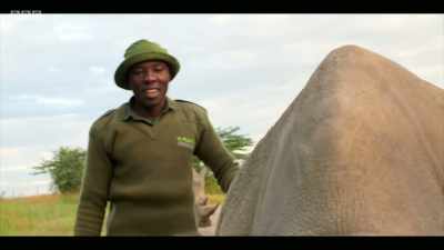She's a little bit unpredictable - Extinction: The Facts