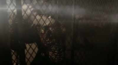She's actually responsible
for the whole G-series. - Triassic World