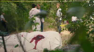 She's been shot in the shoulder, - Murder in Provence