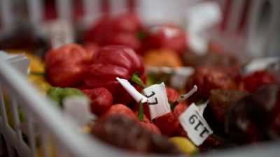She's clinical about it, - Superhot: The Spicy World of Pepper People