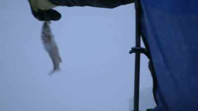 She's dropping her pole down
and yanking the fish out as - Life Below Zero: Next Generation
