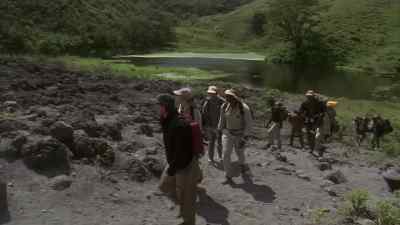- She's getting excited.
- Why, do you think? - Congo