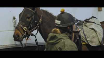 She's getting her muscles back, - Horsepower