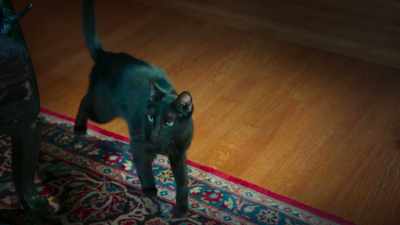 She's here. What are we waiting for? - Scaredy Cats