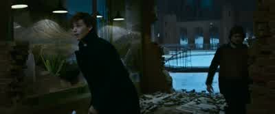 She's in season. - Fantastic Beasts and Where to Find Them
