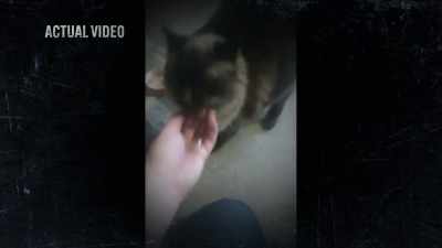 She's in the garage.
She's so nice." - Phrogging: Hider in My House