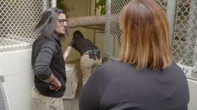 She's like, "I had a tough day." - Secrets of the Zoo