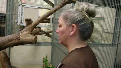 She's like, "I just wanna check,
make sure everything's okay." - Magic of Disney's Animal Kingdom