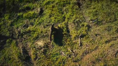 She's never too far to hear him… - Big Beasts