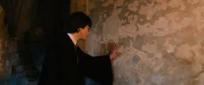 She's not dead, Argus.She has been Petrified. - Harry Potter and the Chamber of Secrets