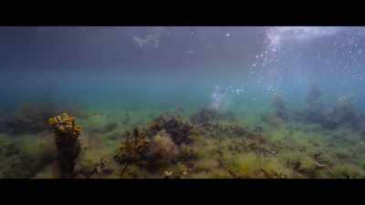She's not hassling me for fish, - Billy & Molly: An Otter Love Story