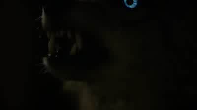 She's not the problem. - Teen Wolf