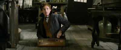 She's responded well to the Dittany. - Fantastic Beasts: The Crimes of Grindelwald