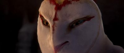 She's right Let us go - Legend of the Guardians: The Owls of Ga'Hoole