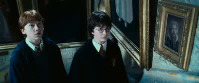 She's right you know - Harry Potter and the Chamber of Secrets