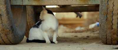 She's scared
I'll do the same thing to her! - Secrets of the Saqqara Tomb