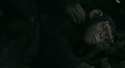 She's sick. - Dawn of the Planet of the Apes