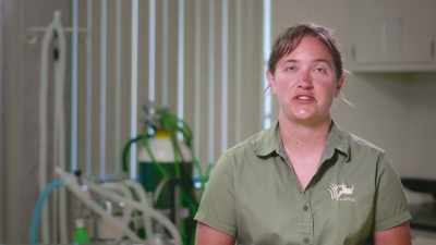She's starting to get
real feisty, - Secrets of the Zoo