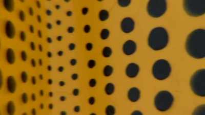 She's used her trauma to
enormously productive ends. - Kusama : Infinity