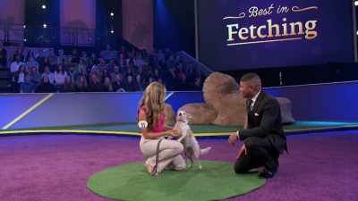 She's very competitive.
She's very clever. - 2022 American Rescue Dog Show