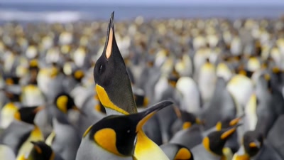 'She's waited more than two weeks, - A Year on Planet Earth