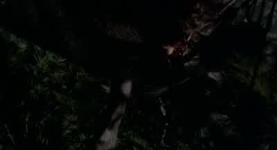 - Shh. - Come on. - Wrong Turn