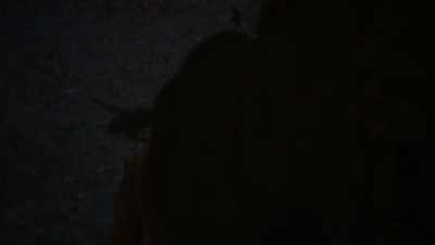 - Shh.
- My destiny has brought me here, - What We Do in the Shadows