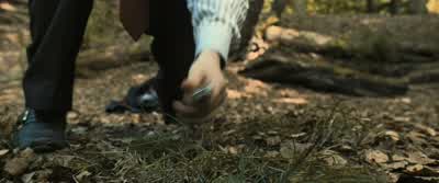 Shh, shh, shh. - Harry Potter and the Deathly Hallows: Part 1