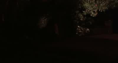 - Shh. - Sweet. - - Come on. - Check that side. - I heard something. - The Bling Ring