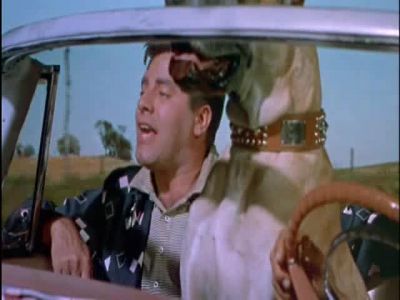 Shiny and bright - Hollywood or Bust