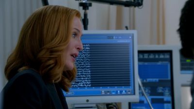     Shiraz, please, please. - The X-Files