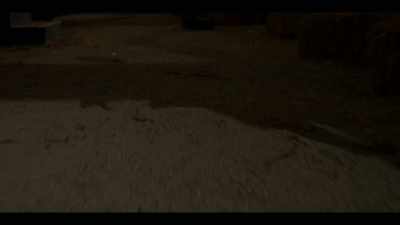 Shit. Oh, fuck! - Carved