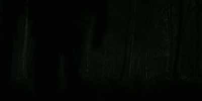 Shit. - The Rising