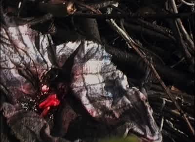 Shit. Shit. Shit. - The Blair Witch Project