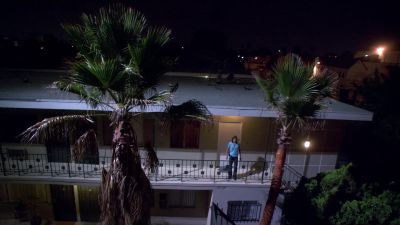 Shit. Trimmed trees.
The Skinner's been here. - Dexter