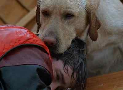 [SHIVERING] - Far from Home: The Adventures of Yellow Dog