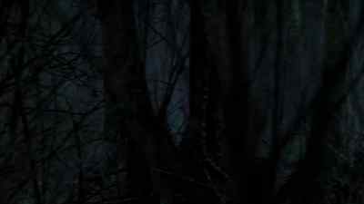 [ Shivers, sniffles ] - The Killing