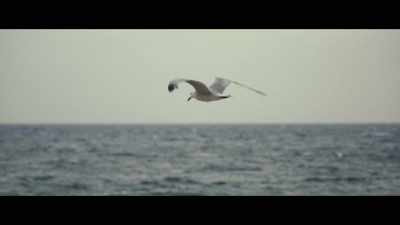 [Shock G] Wow. - Dear Mama