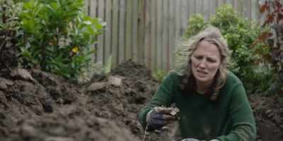 Shoe buckle. - Elizabeth Is Missing