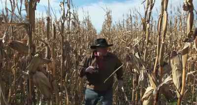 (shoes thud)
(cornstalks rustle) - Dark Night of the Scarecrow 2