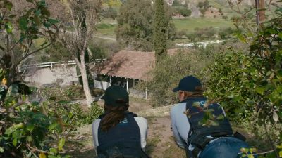 Shoot, that's a woman
in trouble. - NCIS: Los Angeles